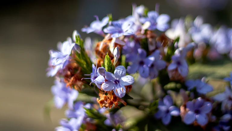 2026년 프롭펌 계좌 정지 막는 비법 퀀트 및 자동매매 7