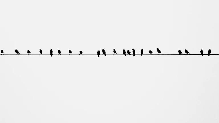 미국 주식 수수료 최저가 브로커 비교 및 계좌 개설 꿀팁 시장 분석 및 전략 7