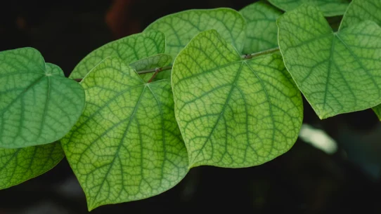 시장 미시구조 예측: 딥 강화학습으로 동적 유동성 포착 브로커 및 플랫폼 분석 23