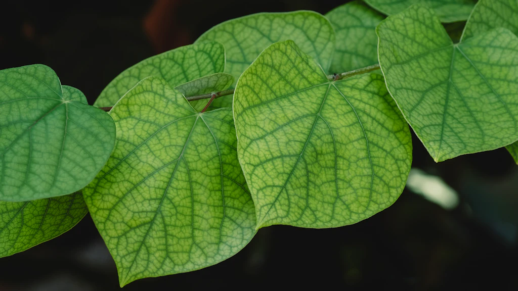 시장 미시구조 예측: 딥 강화학습으로 동적 유동성 포착 시장 분석 및 전략 7