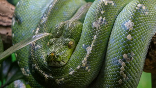 2026년 코드 버그로 계좌 파산 막는 법 시장 분석 및 전략 21