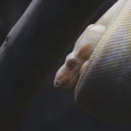 2026년 백테스팅 전략 최적화 노하우 시장 분석 및 전략 5