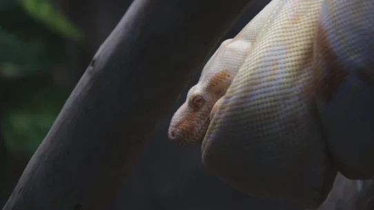 2026년 백테스팅 전략 최적화 노하우 퀀트 및 자동매매 23