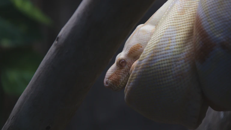 2026년 백테스팅 전략 최적화 노하우 시장 분석 및 전략 7