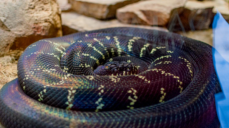 2026년 경제지표 자동매매 필터링 퀀트 FAQ 시장 분석 및 전략 11 파이썬 코딩 자동매매 봇