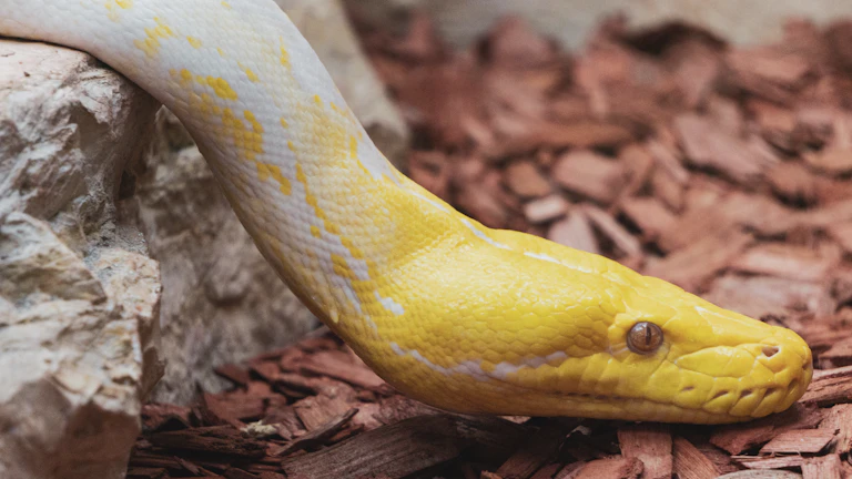데이터 필터링 알고리즘 파이썬 코드 구현