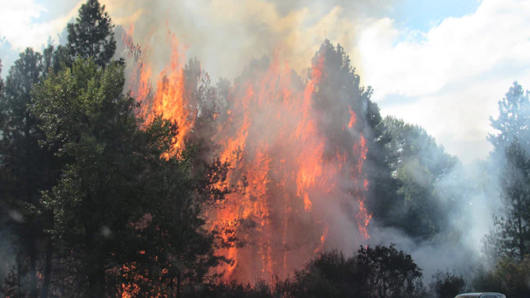 리스크 대비 수익비 계산 도표
