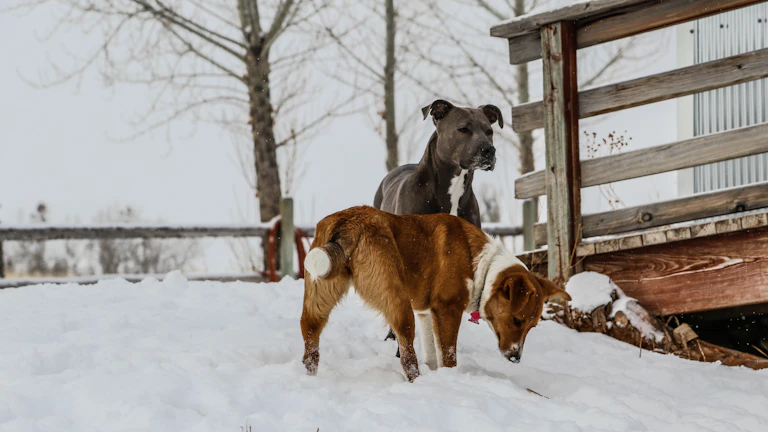 여러 개의 모니터를 진지하게 바라보는 트레이더
