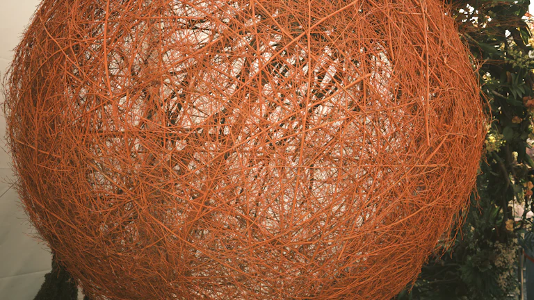 과최적화를 나타내는 복잡하게 얽힌 선