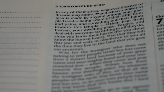 호가창 분석 2026년 허위 매물과 유동성 함정 피하는 전략 시장 분석 및 전략 23