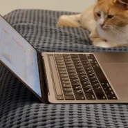 2026년 트레이딩뷰 필수 지표 설정법 트레이딩 툴 및 인프라 1