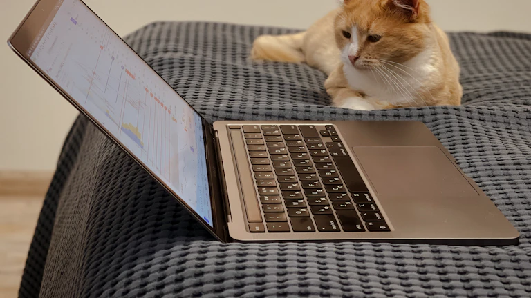 2026년 트레이딩뷰 필수 지표 설정법 트레이딩 툴 및 인프라 7