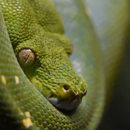 변동성 타겟팅 자금 관리: 퀀트 초보 시스템 입문 마케팅 및 검색 1