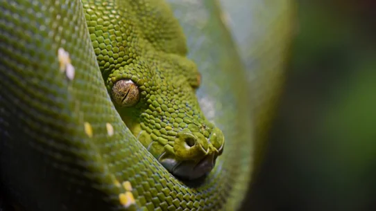 변동성 타겟팅 자금 관리: 퀀트 초보 시스템 입문 시장 분석 및 전략 23