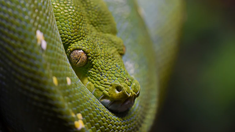 변동성 타겟팅 자금 관리: 퀀트 초보 시스템 입문 퀀트 및 자동매매 7