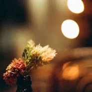 2026년 고수익 시장 진입점 찾는 법 퀀트 및 자동매매 10