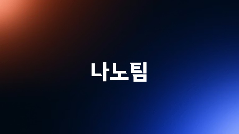 나노팀