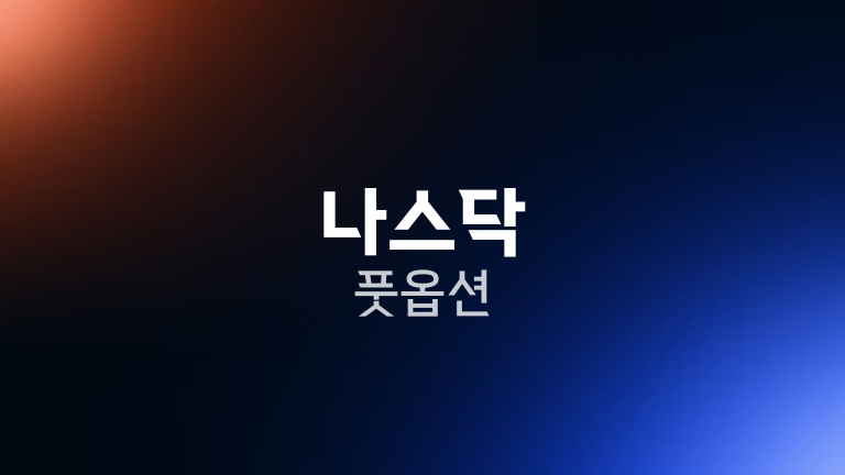 나스닥 풋옵션