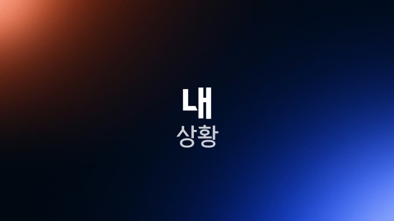 내 상황