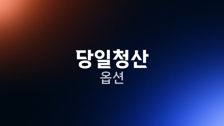 당일청산 옵션