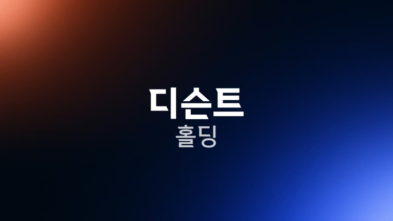디슨트 홀딩
