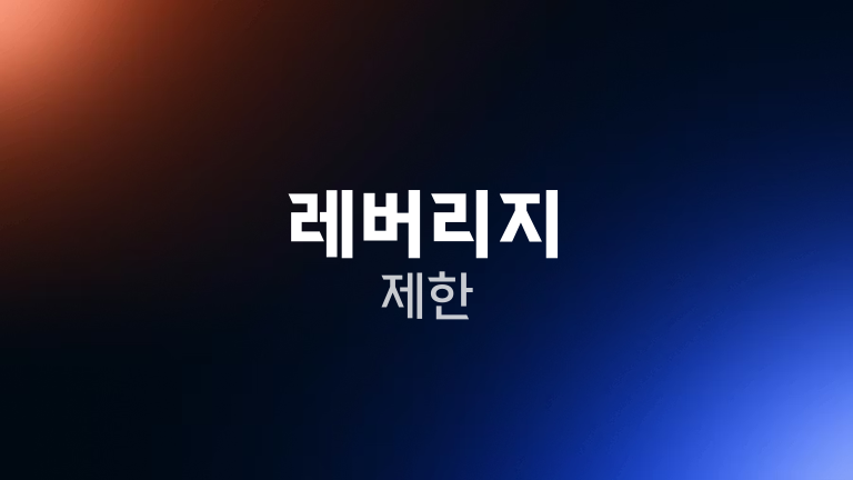 레버리지 제한