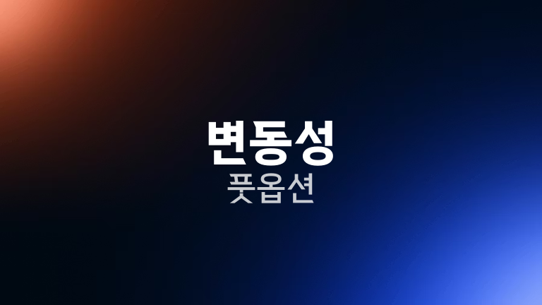 변동성 풋옵션