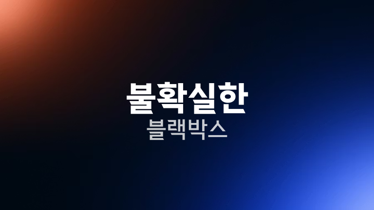 불확실한 블랙박스