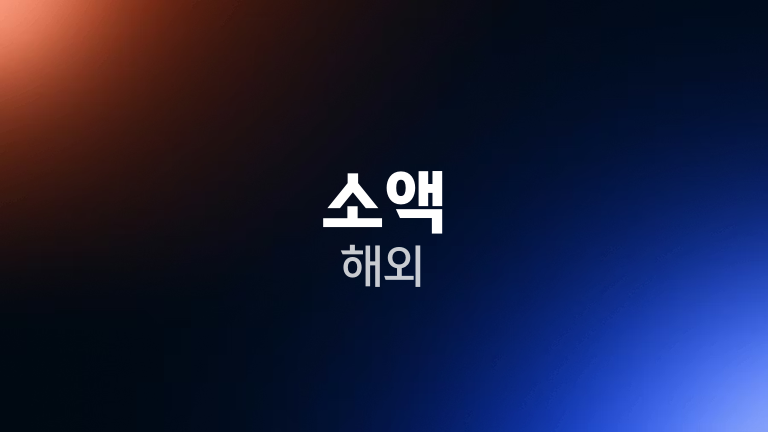 소액 해외